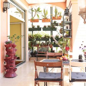 Lx Factory Guest House